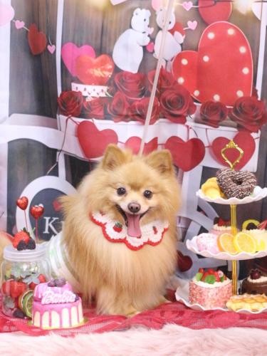 20250219リーくん